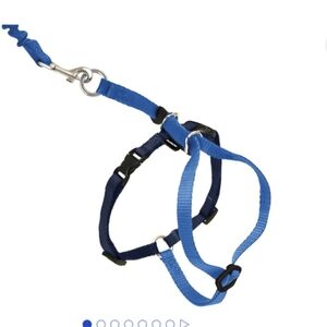 PetSafe Come with me kitty cat harness and bungee leash small navy blue